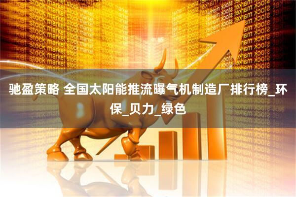 驰盈策略 全国太阳能推流曝气机制造厂排行榜_环保_贝力_绿色