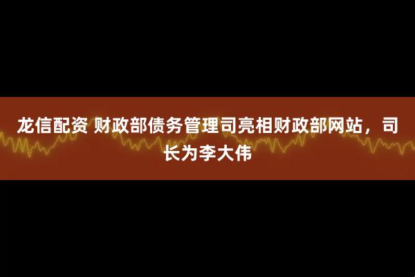 龙信配资 财政部债务管理司亮相财政部网站，司长为李大伟